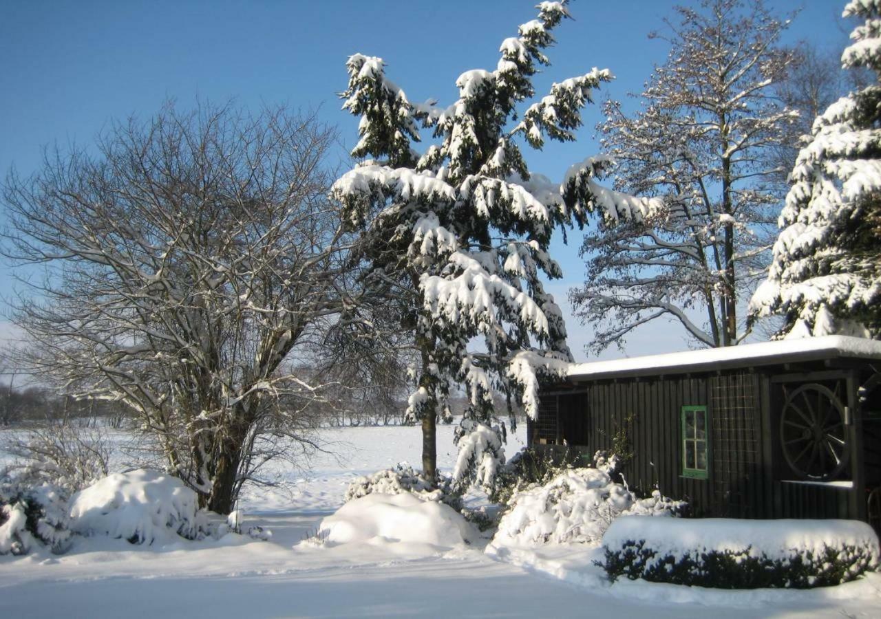 Ferienhaus Uchte / Darlaten Exterior photo