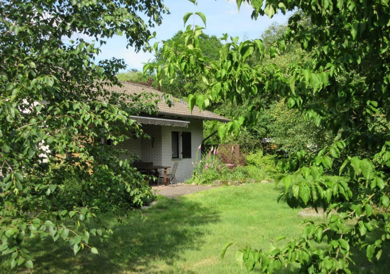 Ferienhaus Uchte / Darlaten Exterior photo